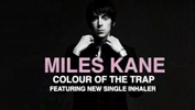 Miles Kane